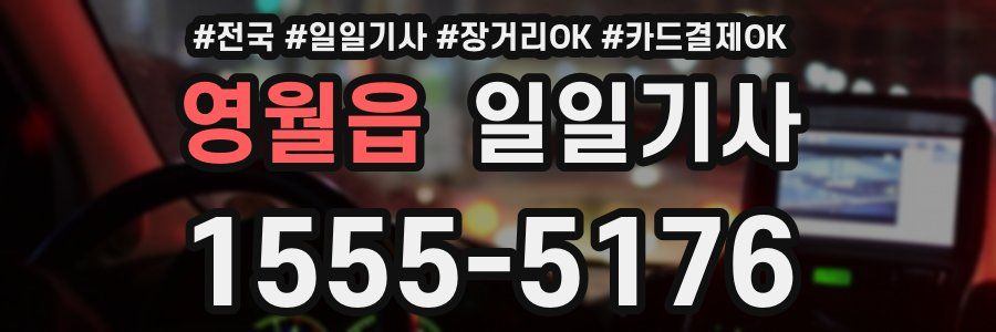 영월읍 일일기사