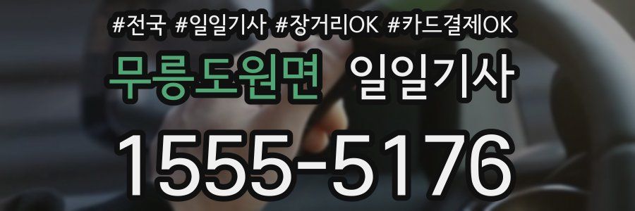 무릉도원면 일일기사