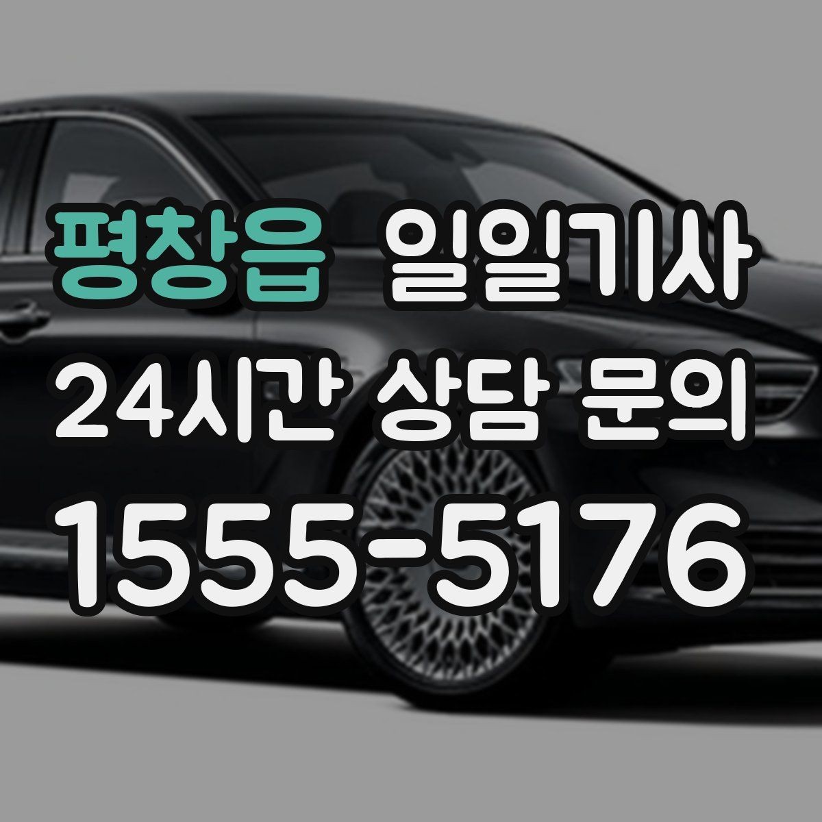 평창읍 일일기사 골프 라운드 전담 동행