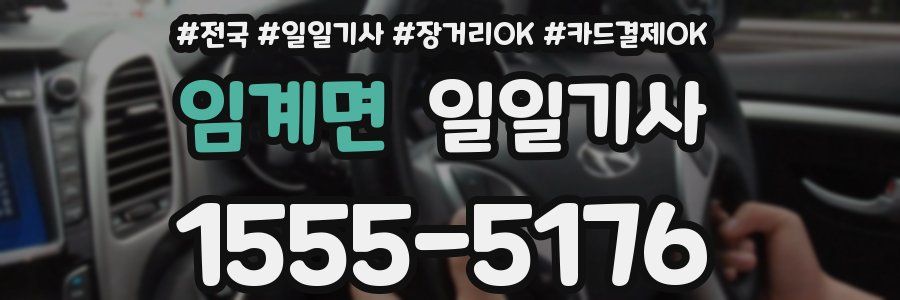 임계면 일일기사