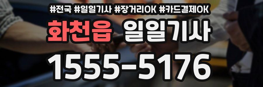 화천읍 일일기사