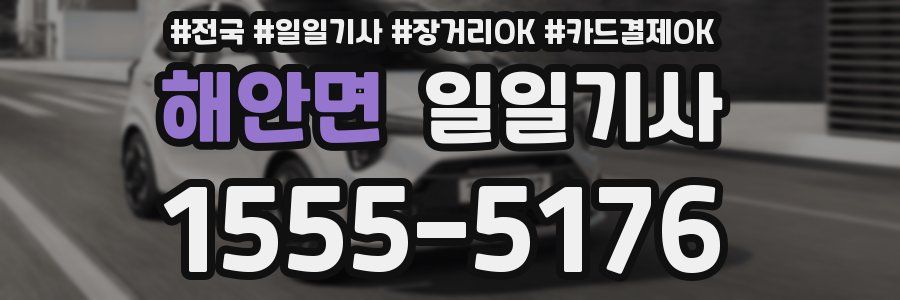 해안면 일일기사