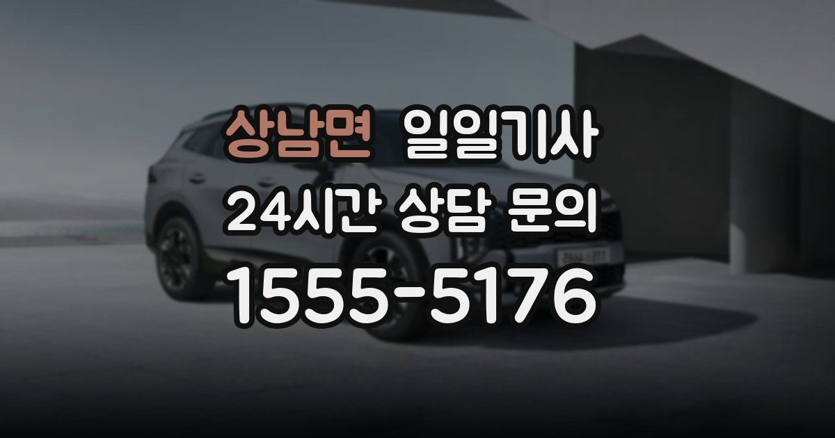 일일대리기사