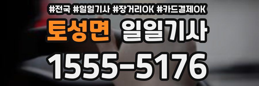 토성면 일일기사