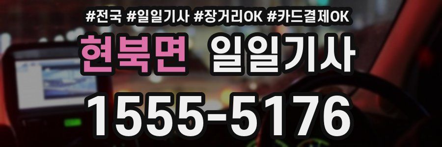 현북면 일일기사