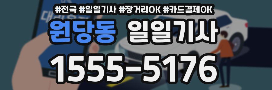 원당동 일일기사