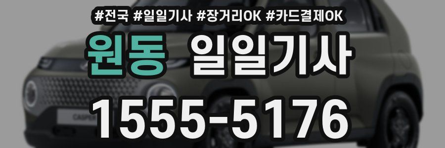 원동 일일기사