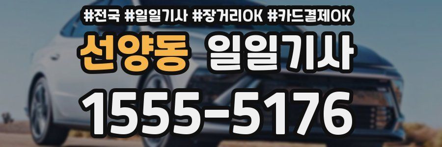 선양동 일일기사