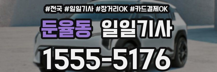 둔율동 일일기사