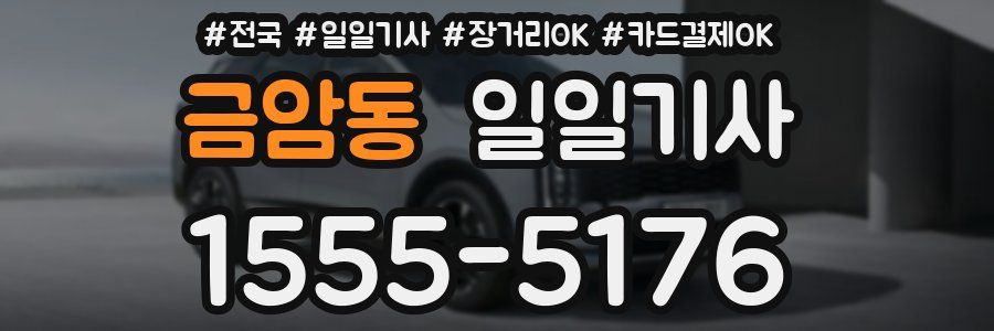 금암동 일일기사