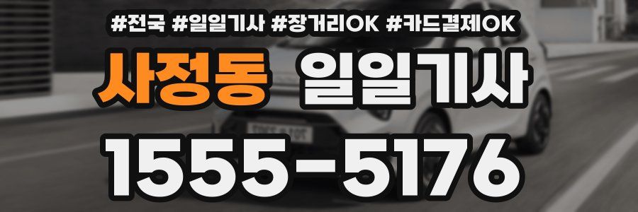 사정동 일일기사