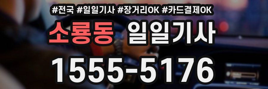 소룡동 일일기사