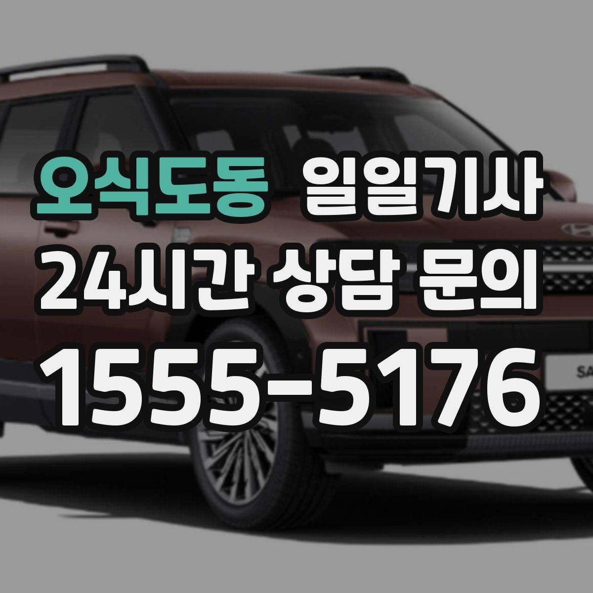 오식도동 일일기사 쾌적한 실내로 장거리도 편안합니다