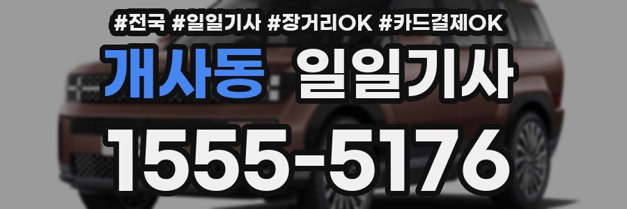 개사동 일일기사