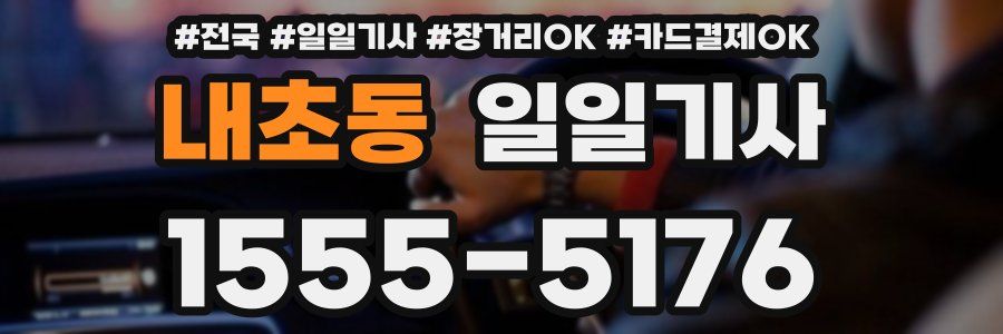 내초동 일일기사