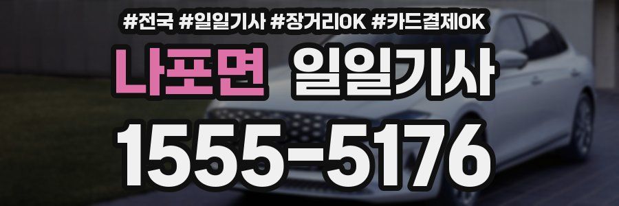 나포면 일일기사