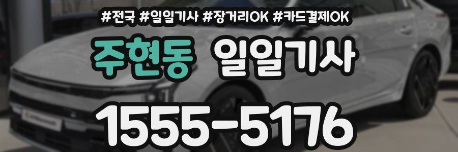 주현동 일일기사