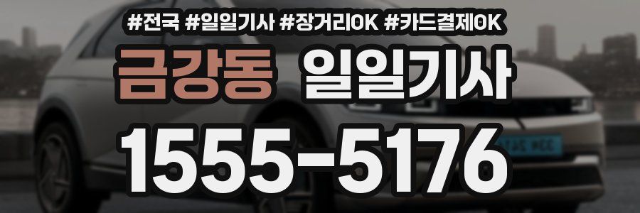 금강동 일일기사