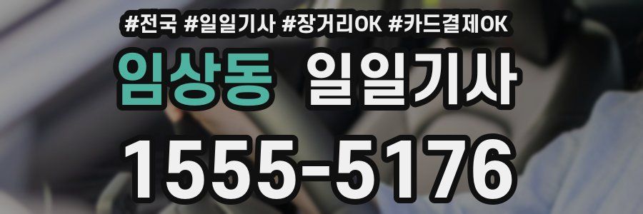 임상동 일일기사