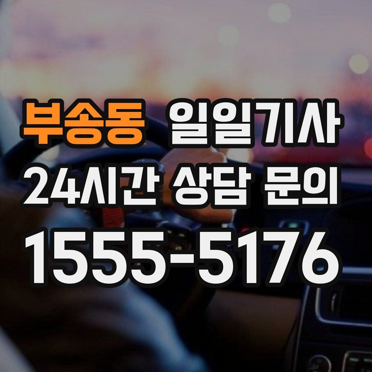 부송동 일일기사 골프 라운드 전담 동행