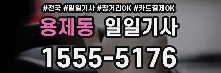 용제동 일일기사