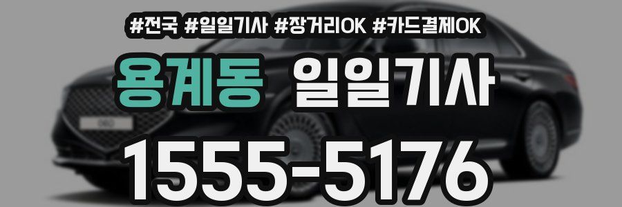 용계동 일일기사