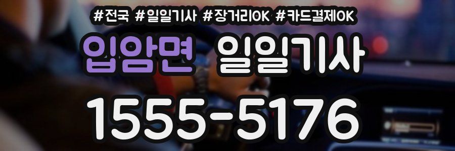 입암면 일일기사