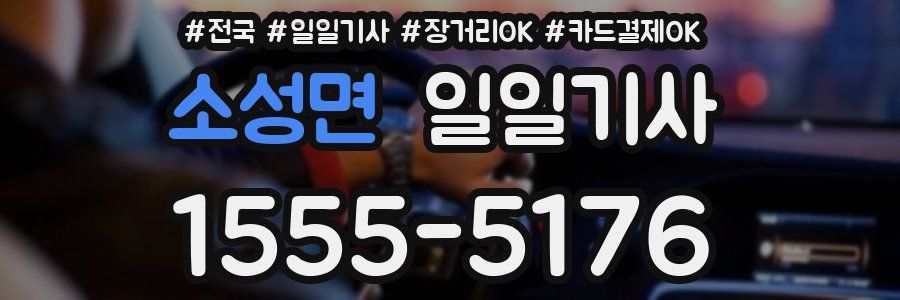 소성면 일일기사