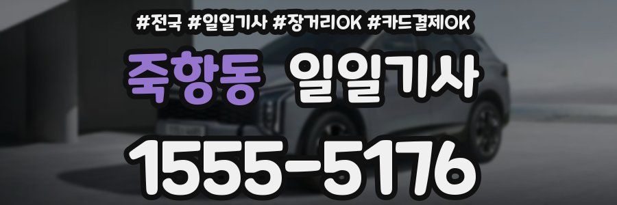 죽항동 일일기사