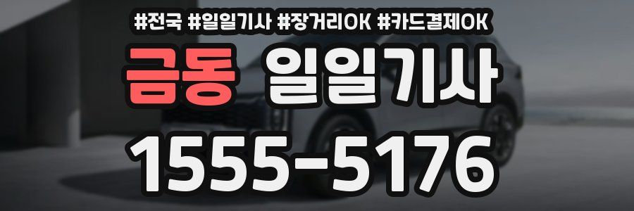 금동 일일기사