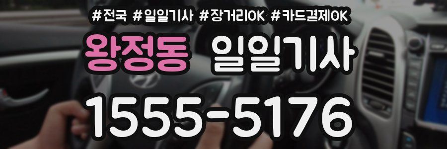 왕정동 일일기사