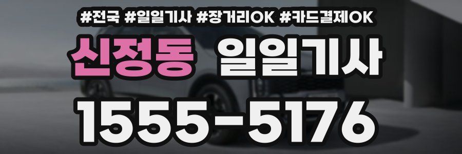 신정동 일일기사