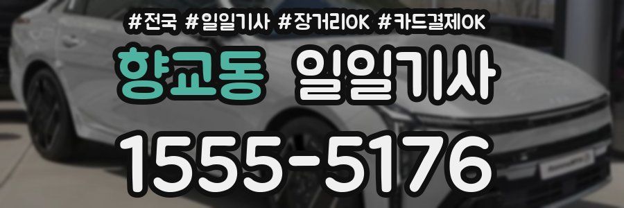 향교동 일일기사