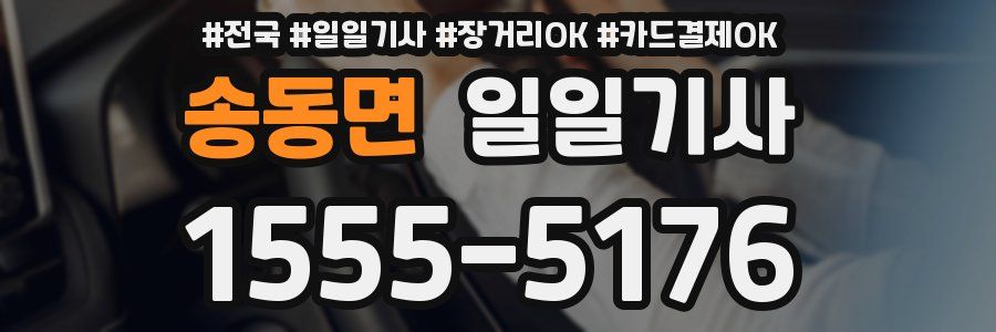 송동면 일일기사