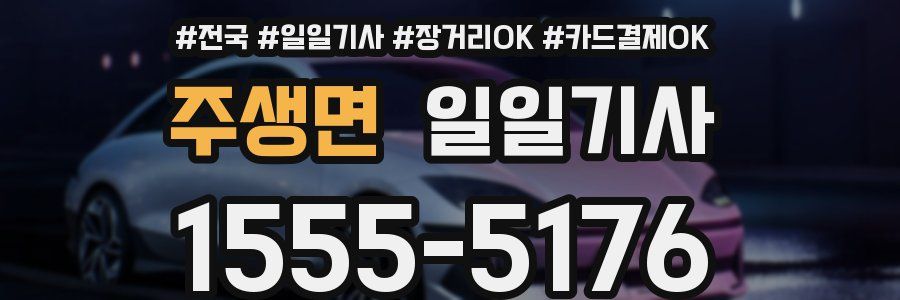 주생면 일일기사