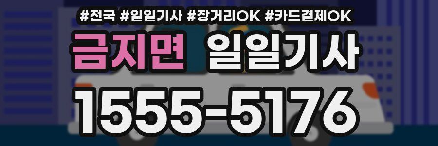 금지면 일일기사