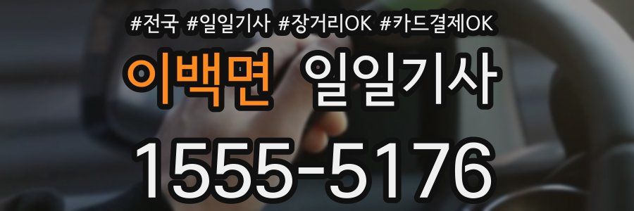 이백면 일일기사