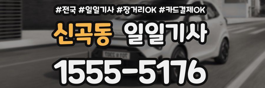 신곡동 일일기사