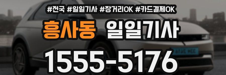 흥사동 일일기사