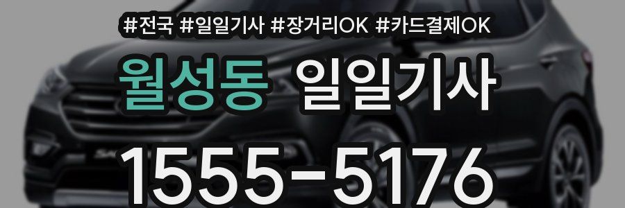 월성동 일일기사