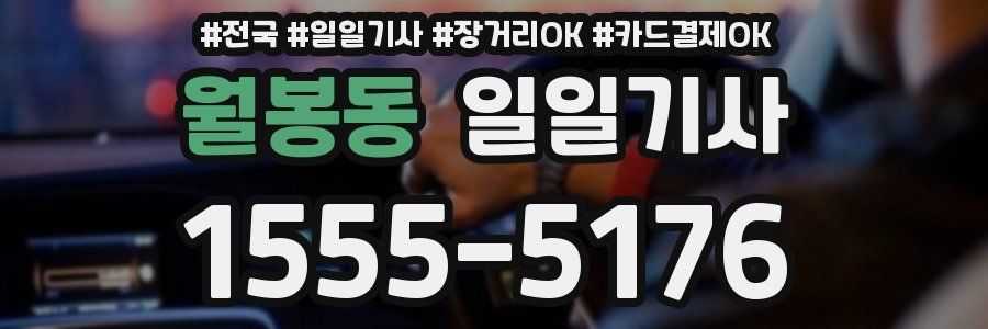 월봉동 일일기사