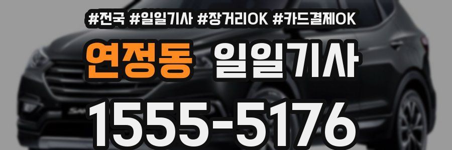 연정동 일일기사