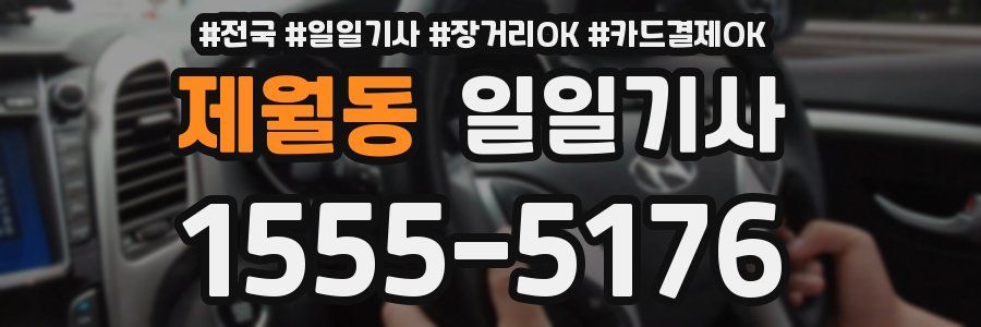 제월동 일일기사