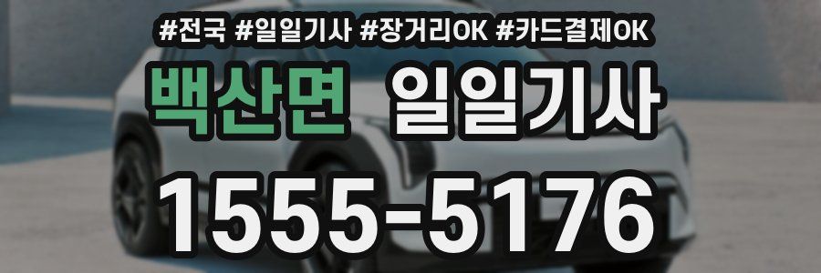 백산면 일일기사