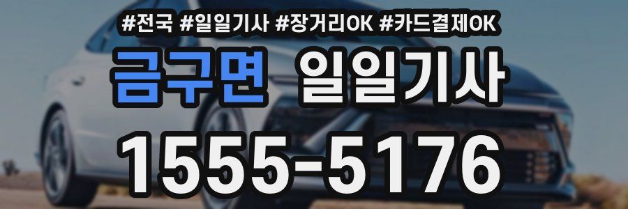 금구면 일일기사