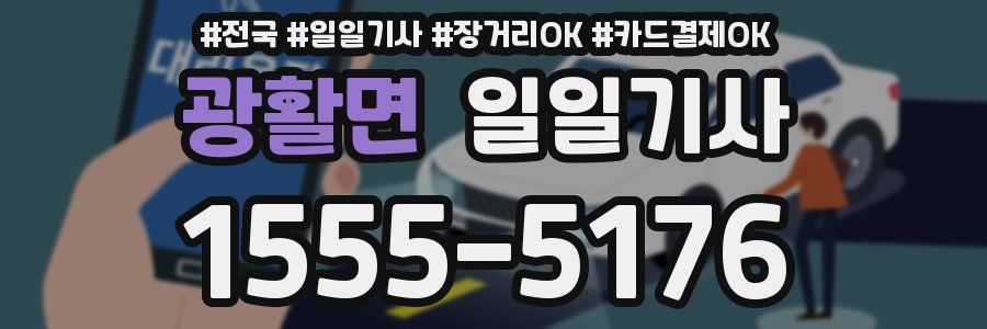 광활면 일일기사