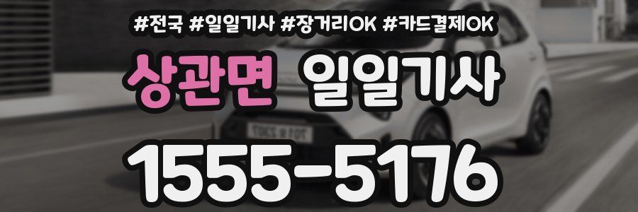 상관면 일일기사