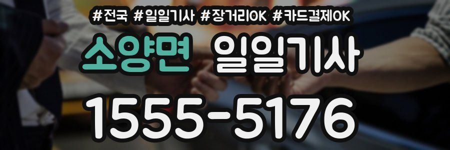 소양면 일일기사