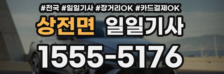 상전면 일일기사