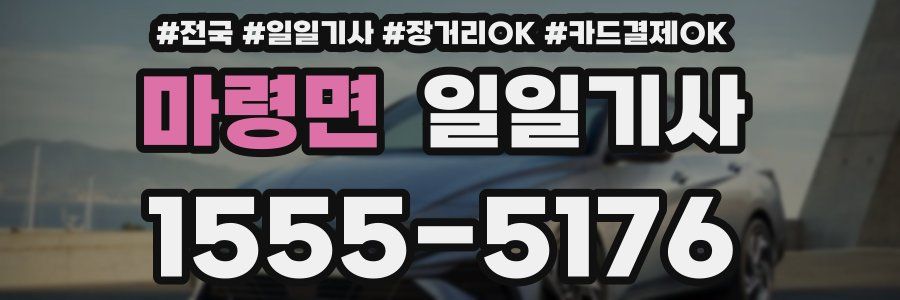 마령면 일일기사